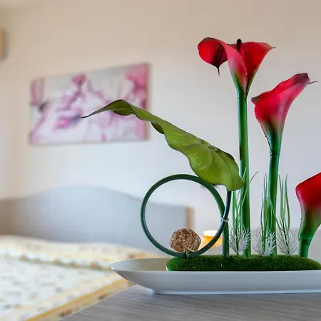 Apartment Adriatico *